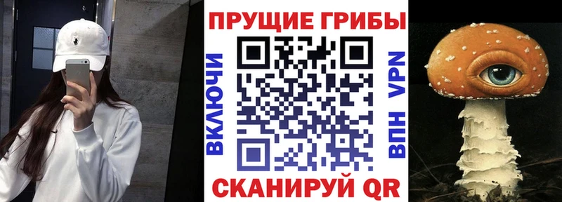 закладки  Муравленко  KRAKEN как зайти  Псилоцибиновые грибы GOLDEN TEACHER 
